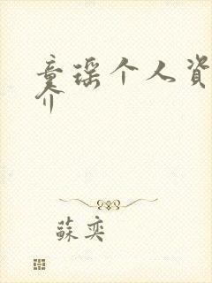 童瑶个人资料简介