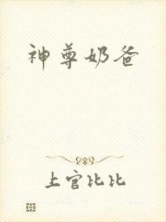神尊奶爸