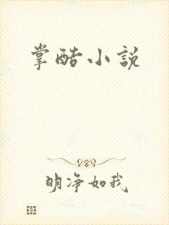 掌酷小说