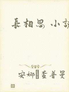 长相思 小说