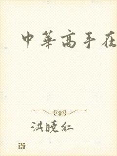 中华高手在异世