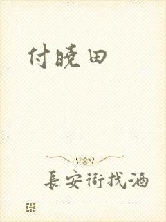 付晓田