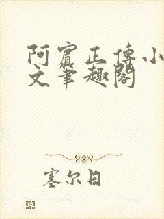 阿宾正传小说全文笔趣阁