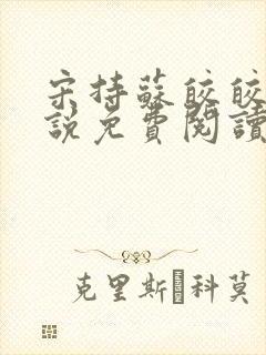 宋持苏皎皎的小说免费阅读