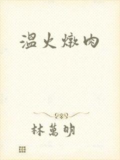 温火炖肉