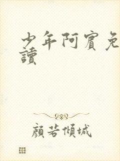 少年阿宾免费阅读