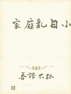 家庭乱日小说