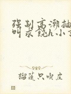 强制高潮抽搐哭叫求饶h小说