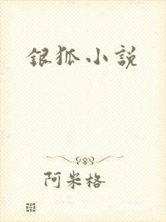 银狐小说