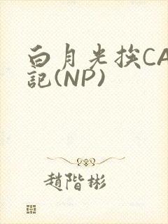 白月光挨CAO记(NP)