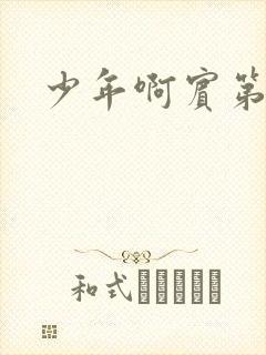 少年啊宾第二部