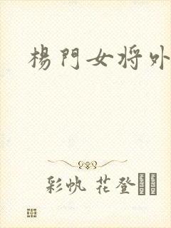 杨门女将外传