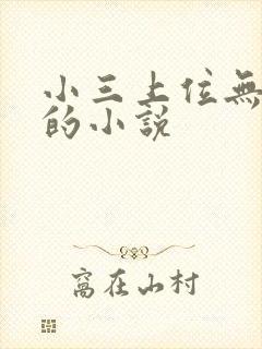 小三上位无三观的小说