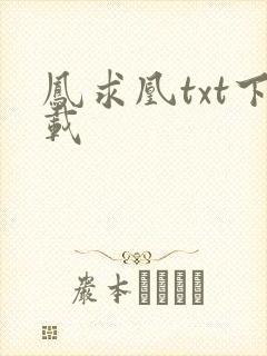 凤求凰txt下载