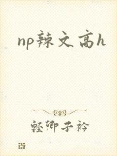 np辣文高h