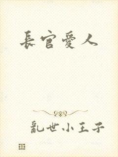 长官爱人