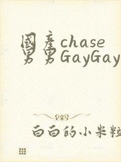 国产chase男男GayGay