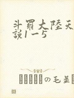 斗罗大陆天狂传说1一5