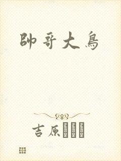 帅哥大鸟