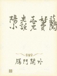 阳光正好苏玥玥小说免费阅读无弹窗