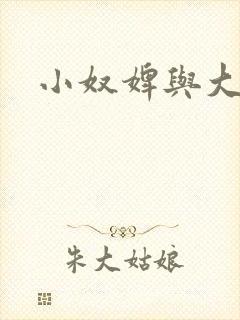 小奴婢与大少爷