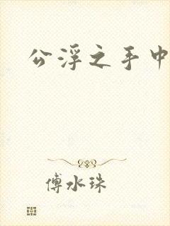 公浮之手中字5