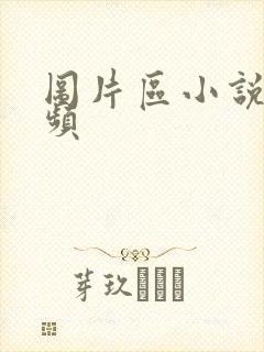 图片区小说区视频