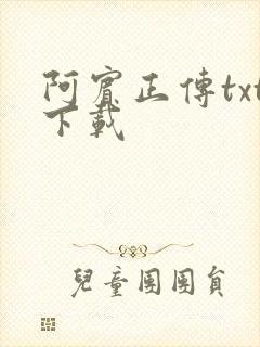 阿宾正传txt下载