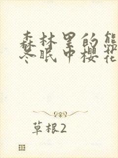 森林里的熊先生冬眠中樱花动漫