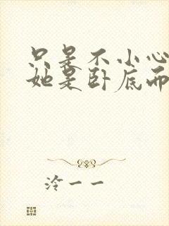 只是不小心发现她是卧底而已