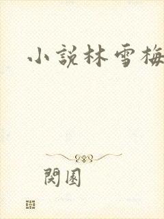 小说林雪梅