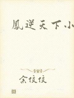 凤逆天下小说