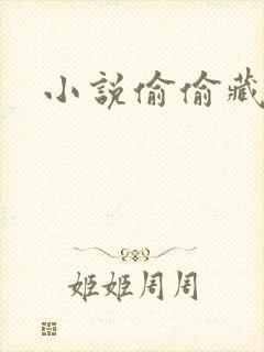 小说偷偷藏不住