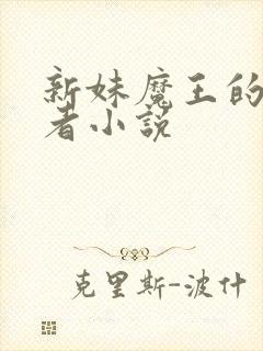 新妹魔王的契约者小说