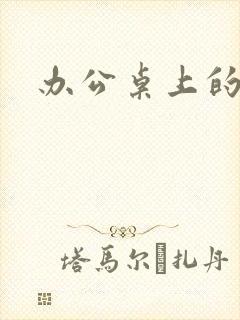 办公桌上的美味