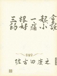 三根一起会坏掉的好痛小说