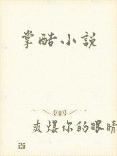 掌酷小说