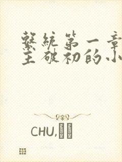 系统第一章给宿主破初的小说