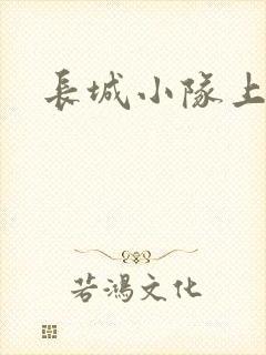 长城小队上中下