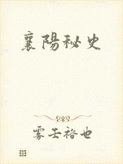 襄阳秘史