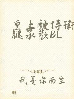 皇上被侍卫抵开腿承欢BL