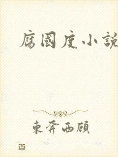 腐国度小说