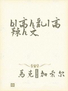 bl高h乱l高辣h文