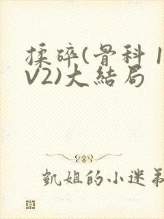 揉碎(骨科 1V2)大结局