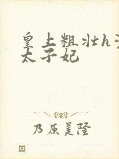 皇上粗壮h灌满太子妃