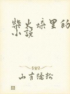 柴火垛里的疯狂小说