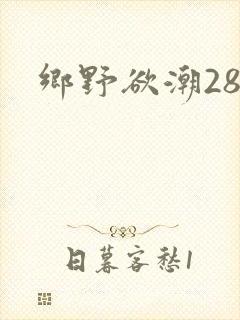 乡野欲潮28章