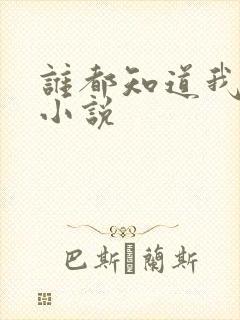 谁都知道我爱你小说