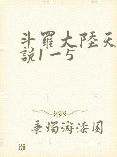 斗罗大陆天狂传说1一5