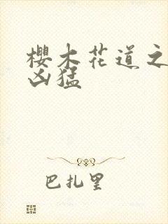 樱木花道之重生凶猛